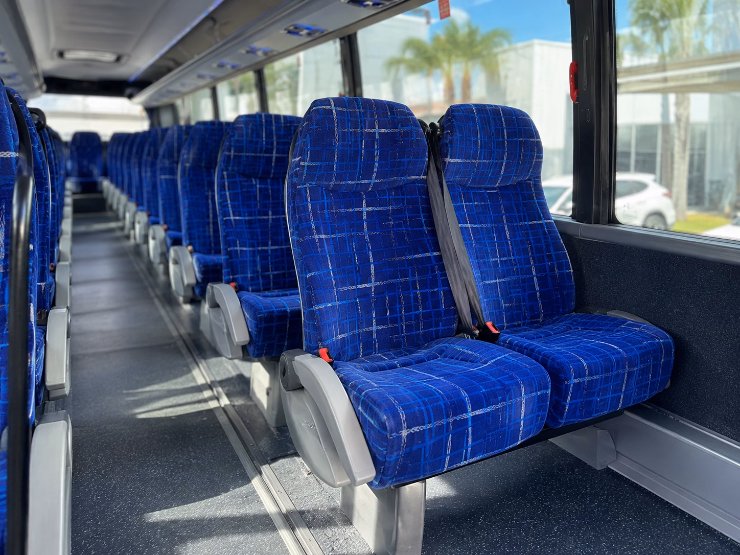 wine tour buses for the paw paw wine harvest festival